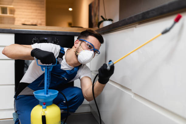Best Pest Inspection Near Me  in Krebs, OK