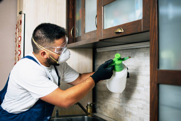 Pest Prevention Services in Krebs, OK