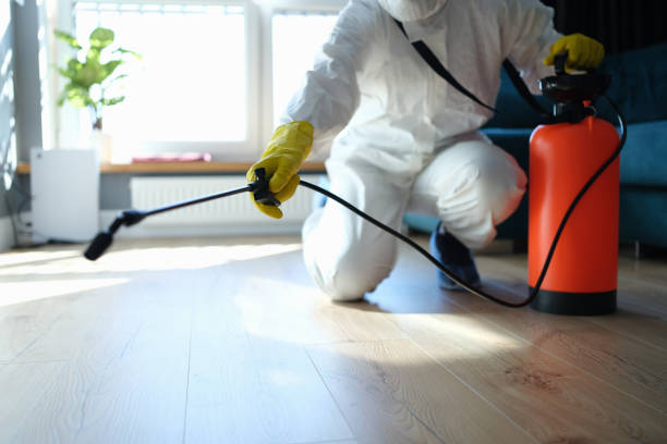 Best Wasp Removal Services  in Krebs, OK