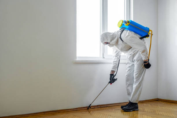 Best Pest Removal Services  in Krebs, OK