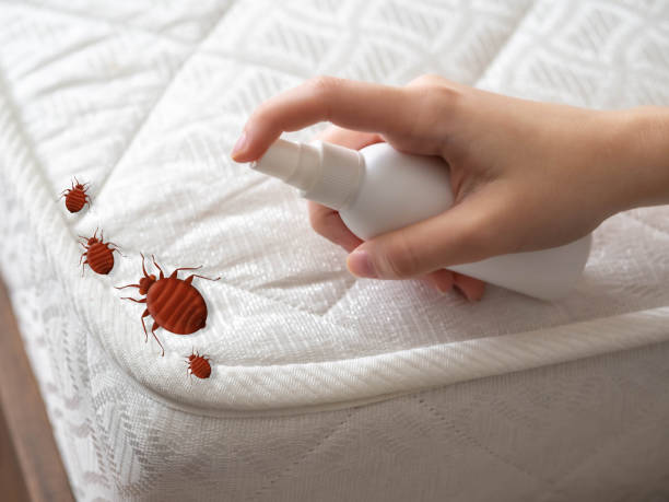 Best Pest Control Cost  in Krebs, OK