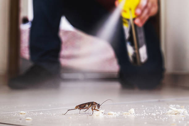 Best Best Pest Control Companies  in Krebs, OK