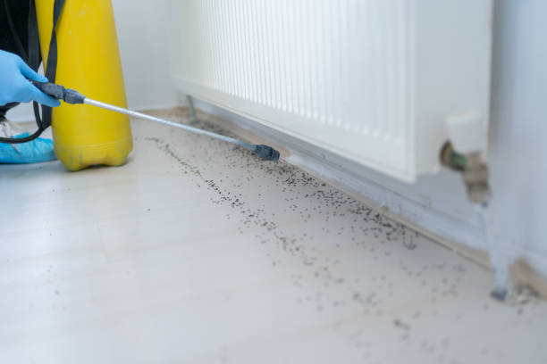 Best Pest Inspection Near Me  in Krebs, OK